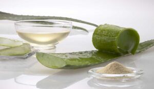 Aloe vera en la cara: beneficios, cómo usarlo y precauciones