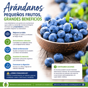 Arándanos: propiedades, beneficios, contraindicaciones y cómo consumirlos correctamente
