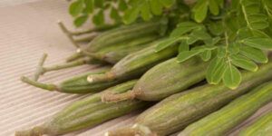 Moringa: propiedades, beneficios, contraindicaciones y cómo tomarla correctamente