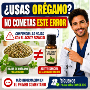 Orégano: propiedades, beneficios, usos y contraindicaciones