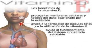 Vitamina E: beneficios, alimentos ricos, dosis recomendada y contraindicaciones