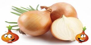 Cebolla: propiedades, beneficios, contraindicaciones y valores nutricionales