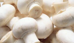 Champiñones: propiedades, beneficios y valor nutricional