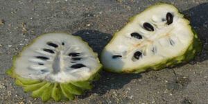 Chirimoya: propiedades, beneficios, valor nutricional y cómo consumir esta fruta tropical