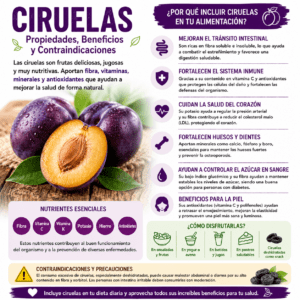 Propiedades de las ciruelas: beneficios, valor nutricional y contraindicaciones