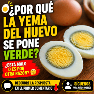 ¿Cuántos huevos se pueden comer a la semana? Lo que dice la ciencia