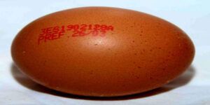 Cómo elegir los huevos: qué significan los códigos y cuál es la mejor opción