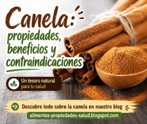 Canela: propiedades terapéuticas, beneficios y contraindicaciones.