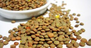 Lentejas: propiedades, beneficios, valor nutricional y contraindicaciones