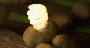 ¿Puede una patata generar electricidad? El experimento que logró encender luces LED