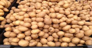 ¿Las patatas engordan? Mitos, calorías, beneficios y cómo cocinarlas de forma saludable