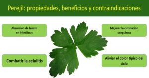 Perejil: propiedades, beneficios, contraindicaciones y cómo consumirlo correctamente