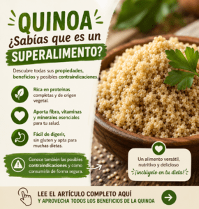 Propiedades de la quinoa: beneficios, valor nutricional y cómo cocinarla