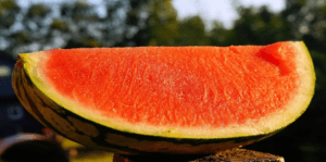 ¿La sandía sin semillas es transgénica? Mitos, cultivo y beneficios para la salud