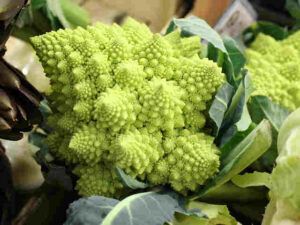 Vitamina K: beneficios, alimentos ricos, funciones y por qué es esencial para tu salud