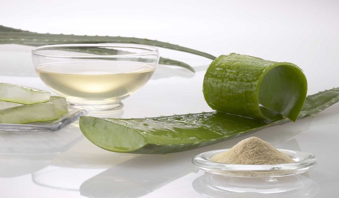 Aloe vera Qué es el gel de aloe vera