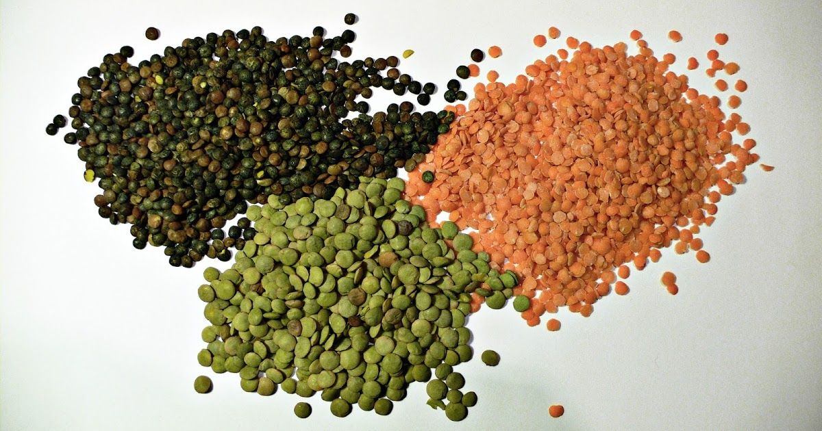soja propiedades soja propiedades beneficios nutrientes proteínas salud